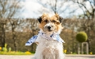 Zitterinchen | TV-Programm von mdr