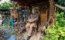37° | TV-Programm von ZDF
