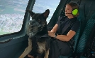 Animal Takeoff | TV-Programm von BR