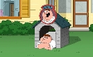 Family Guy | TV-Programm von ProSieben MAXX