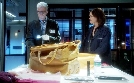 CSI: Den Tätern auf der Spur | TV-Programm von VOX