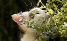 Tiere im Rausch | TV-Programm von mdr