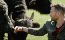 Zurück zu den Wurzeln - Alte Nutztierrassen in Italien | TV-Programm von arte