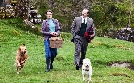 Der Doktor und das liebe Vieh | TV-Programm von ONE HD