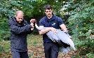 Die Zoo-Docs | TV-Programm von SWR