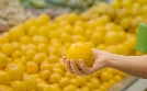 Orangen – Genuss mit Beigeschmack | TV-Programm von ZDF