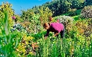 Heimat entdecken | TV-Programm von SWR