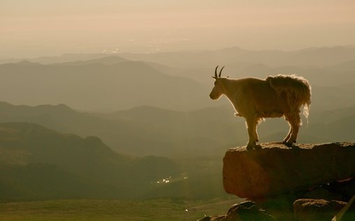 Die Rockies 
 Überleben in der Wildnis