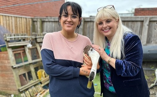 Was Tiere denken 
 Eine appetitlose Ente, ein Rolli-Hund und Alpakas mit Attitüde