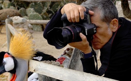 Tierisch fotogen 
 Miguel Vallinas aus Spanien