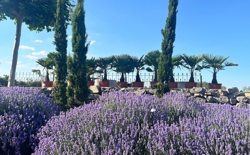 MDR Garten 
 14.08.2026 02:15.
