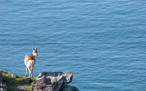 Wildes Japan - Land der tausend Inseln 
 Hokkaido