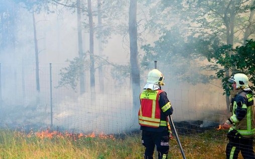 Die rbb Reporter 
 Wald in Flammen – Feuerwehr im Dauereinsatz