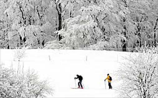 Das Geschaft Mit Dem Schnee Jetzt Aufnehmen