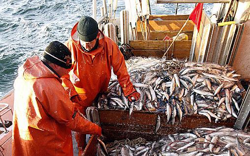 Rainer Sass So Isst Der Norden Kurzfristige Programmanderung