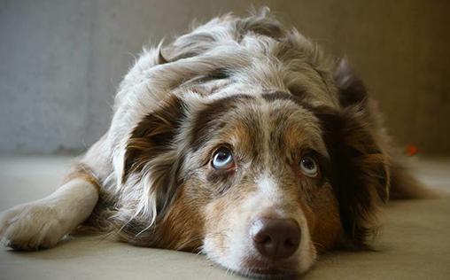 kathe und ich zuruck ins leben jetzt aufnehmen