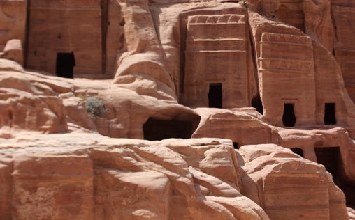 Die Farben der Wüsten 
 Das Rosa Wadi Rum