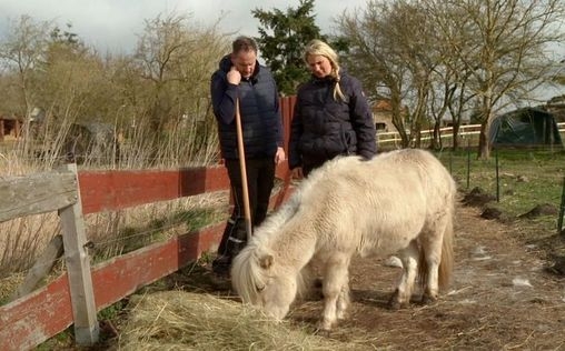 Die Nordreportage 
 Schwein gehabt...