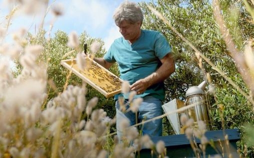 Die Bienenflüsterer 
 Italien: Siziliens Dunkle Biene