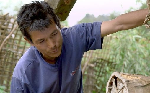 Die Bienenflüsterer 
 Nepal, die Riesenbiene der Gurung