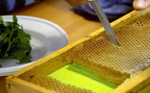 Die Bienenflüsterer 
 Italien: Siziliens Dunkle Biene