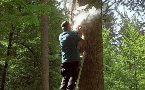 Die Bienenflüsterer 
 Deutschland, Rosenfeld, ein Paradies für Bienen