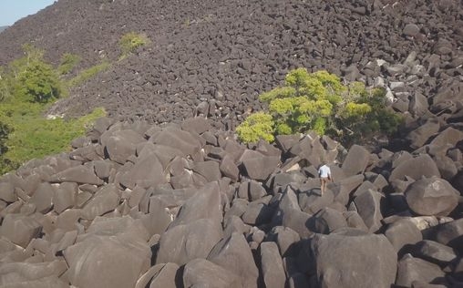 Rätselhafte Phänomene 
 Geisterwald vor der US-Westküste