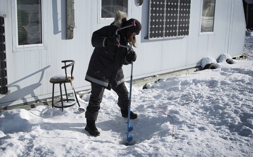 Ice Lake Rebels 
 Auf der Jagd