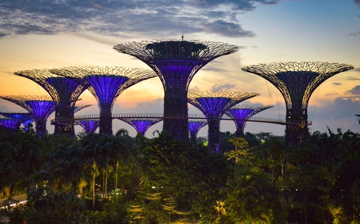 Singapur. Hightech und hängende Gärten 
 Hightech und hängende Gärten