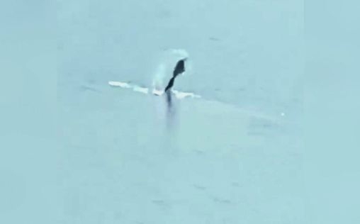 Unheimliche Videos 
 Die Geister der toten Kinder