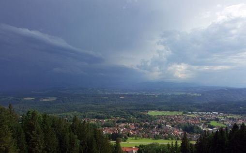 natur exclusiv 
 Bayerische Naturgeschichten
