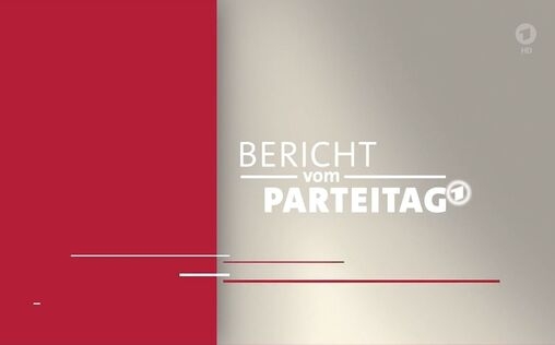 Bericht vom Parteitag der Linken 
 Bericht vom Parteitag der Linken