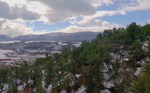 Unfall, Selbstmord oder Mord 
 Der mysteriöse Tod von Morgan Ingram