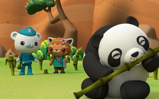 Die Oktonauten auf dem Festland 
 Die Bambusbeschaffung