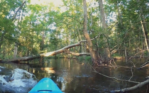 Unheimliche Videos 
 Wahre Wunder Teil 1