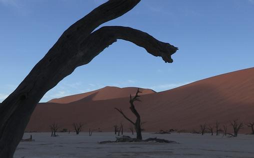 Schätze der Welt - Erbe der Menschheit 
 Der Ort an dem Nichts ist - Die Namib, Namibia
