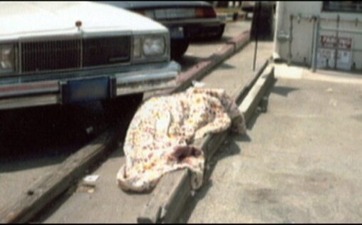 Autopsie - Mysteriöse Todesfälle 
 Mord verjährt nie | Verheiratet mit dem Tod | Explosive Wut