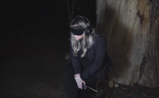 Unheimliche Videos 
 Besuch aus einer fremden Dimension