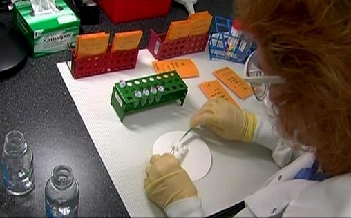 Autopsie - Mysteriöse Todesfälle 
 Tödliche Gewässer | Blutige Fußspuren