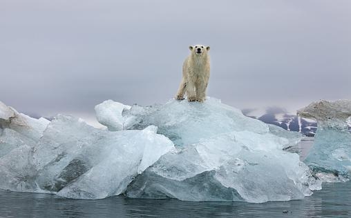 Die Macht der Natur 
 Eisschmelze