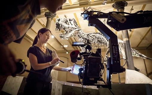 T-Rex - Rekonstruktion einer Riesenechse 
 