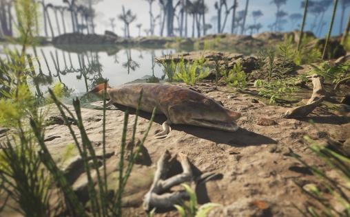 Katastrophen der Erdgeschichte 
 Erstes Leben