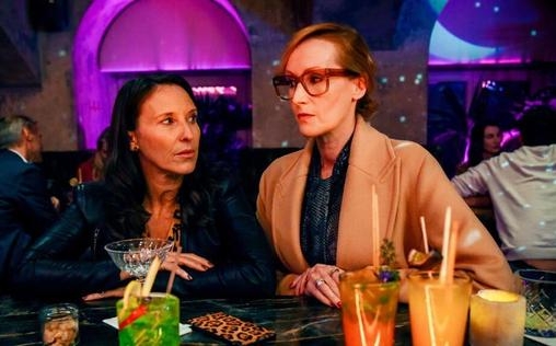 Vorstadtweiber 
 Folge 47