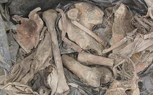 Verscharrt & vergraben - Mord verjährt nicht 
 Der vermisste Vater