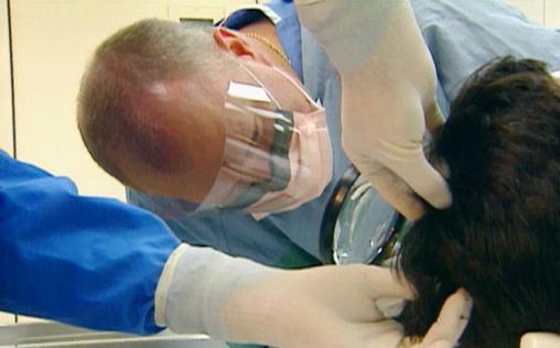 Medical Detectives - Geheimnisse der Gerichtsmedizin 
 Tatorte