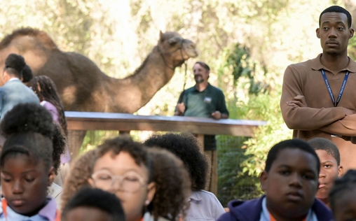Abbott Elementary 
 Zoo-Ballon