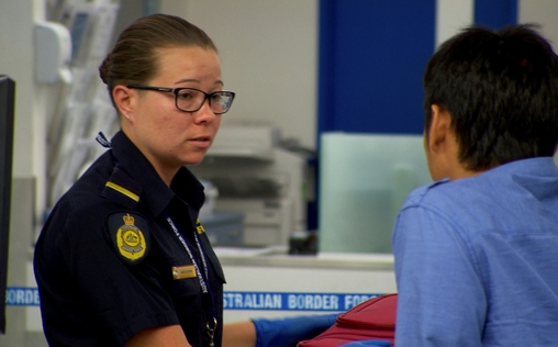Achtung, Zoll! Willkommen in Australien 
 Die Führerscheinsammlung