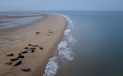 Meerengen 
 Die Straße von Dover, immer in Bewegung
