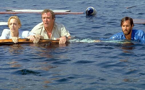 Der weiße Hai IV - Die Abrechnung 
 Ellen Brody lebt mit ihrem jüngeren Sohn immer noch in Amity. Dieser wird - wie sein Vater - von einem weißen Hai getötet. Ellen zieht zu ihrem älteren Sohn Michael auf die Bahamas, um dort die schlimmen Geschehnisse zu verarbeiten. Ihre Trauer wird früh unterbrochen, als ein Killer-Hai versucht, Michael und dessen Tochter zu verspeisen. Mit dem Gedanken, dass der Hai aus Rache ihre ganze Familie auslöschen will, macht sich Ellen bereit für den Kampf mit der Bestie.