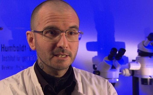 Medical Detectives - Geheimnisse der Gerichtsmedizin 
 Akribie des Grauens